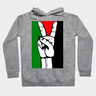 Palestinian Peace Flag Hoodie